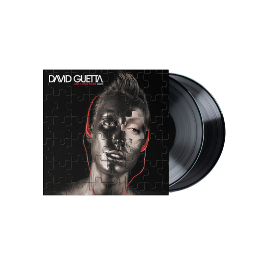 DOUBLE VINYLE « JUST A LITTLE MORE LOVE »